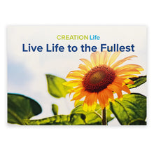 CREATION Life Seminar Leader Kit