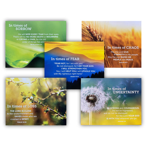 Bible Verse Cards for Team Member Support (50 each)