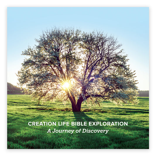CREATION Life Bible Exploration Book